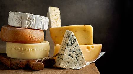Analog Cheese applications