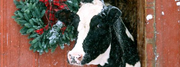 Season’s greetings from your friends at Edlong.