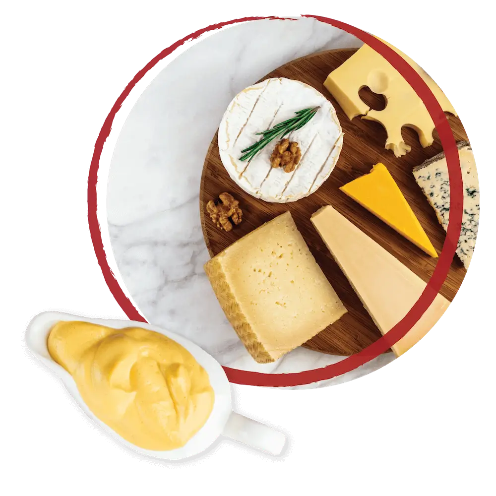 Cheese Applications