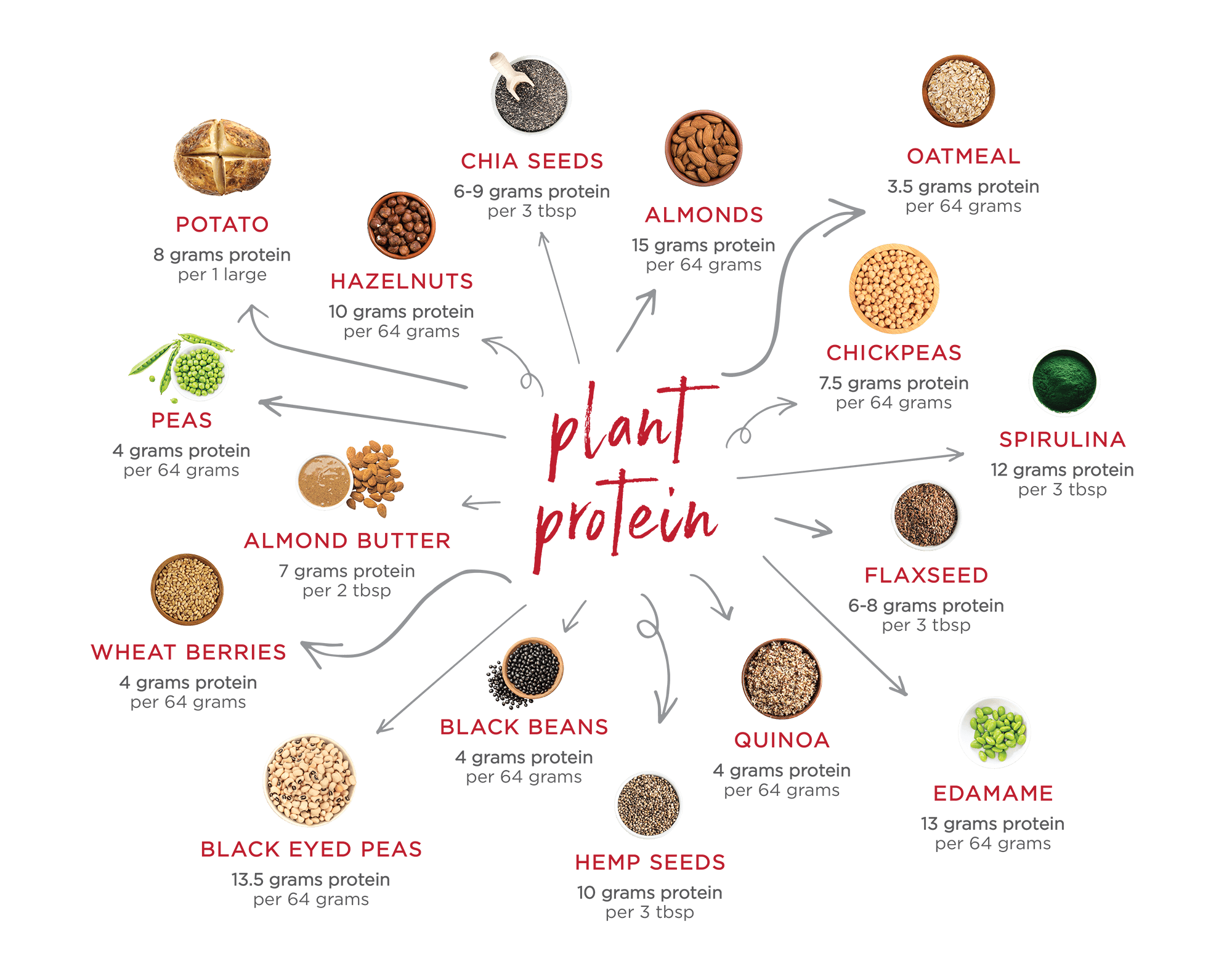 plant-based proteins
