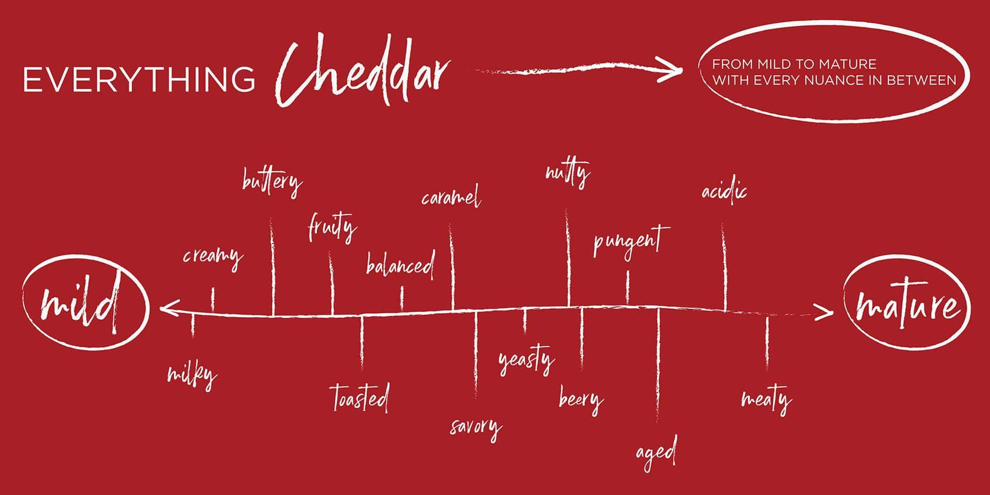 Cheddar