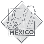 GTT Mexico Regional Cookie Profile