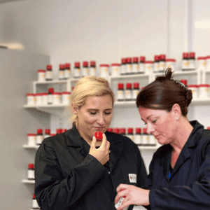 From Flavor Companies to Ingredient Suppliers & Beyond: One CEO’s Insights on How the Most Innovative Plant-based Product Developers Find Success Through Collaboration