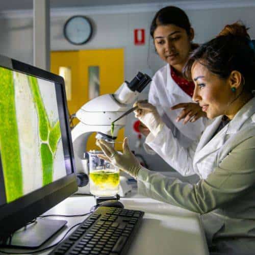 food science innovation