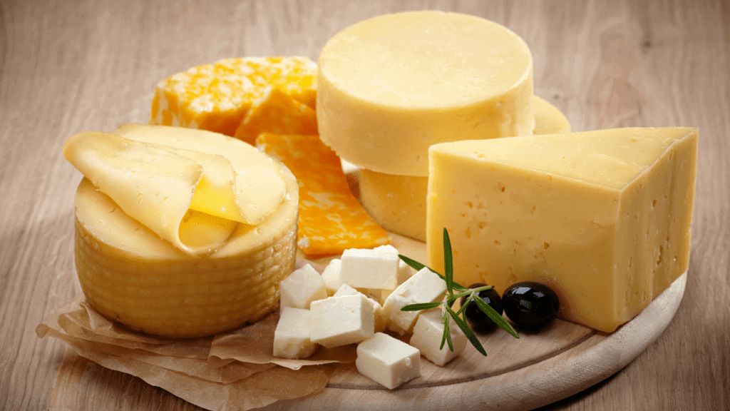 plant-based cheese