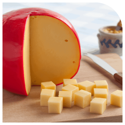 queso de origen vegetal sabor edam