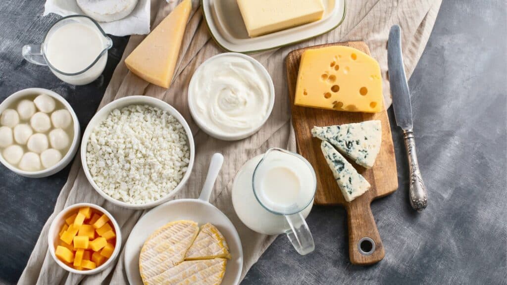 dairy products