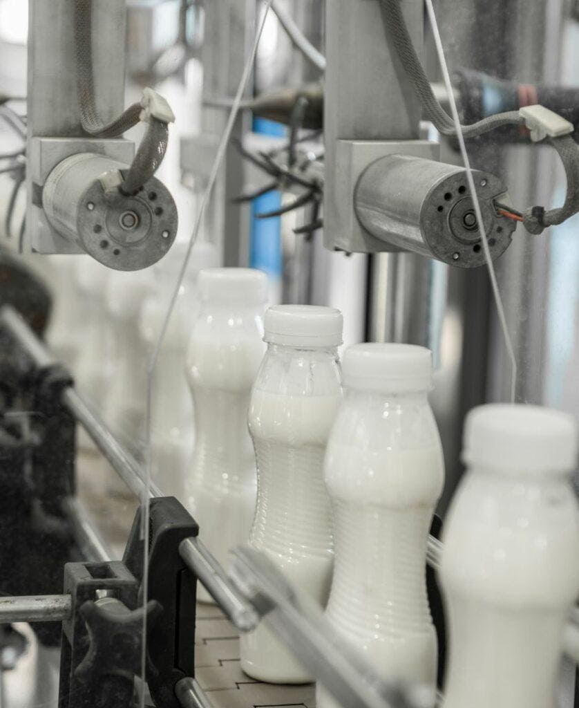 milk manufacturing
