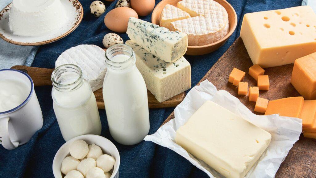 dairy products