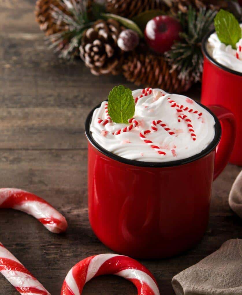 Decora tu Alacena con los Productos Favoritos Navideños 
