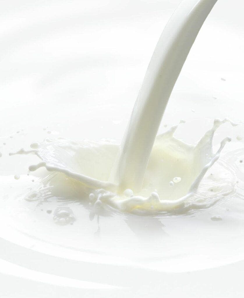 skim milk
