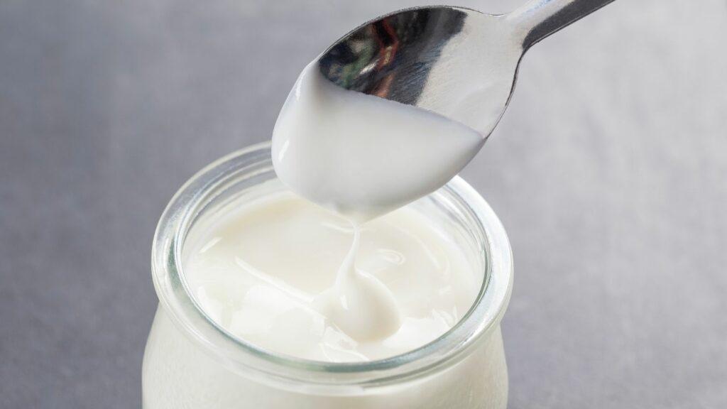 defining taste with yoghurt