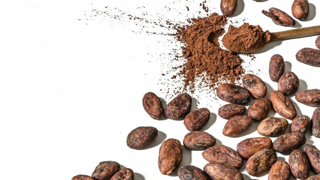 cocoa beans and cocoa powder