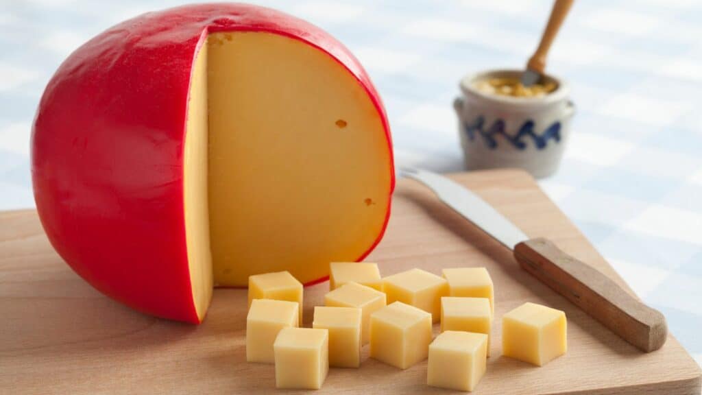 plant-based-edam-cheese