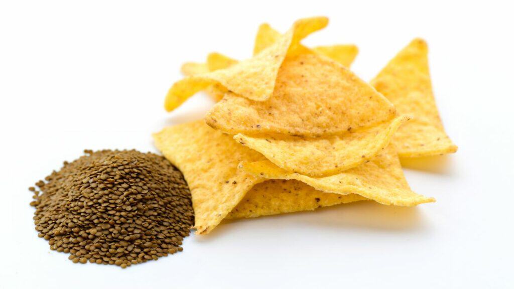 Lentil-Tortilla-Chips