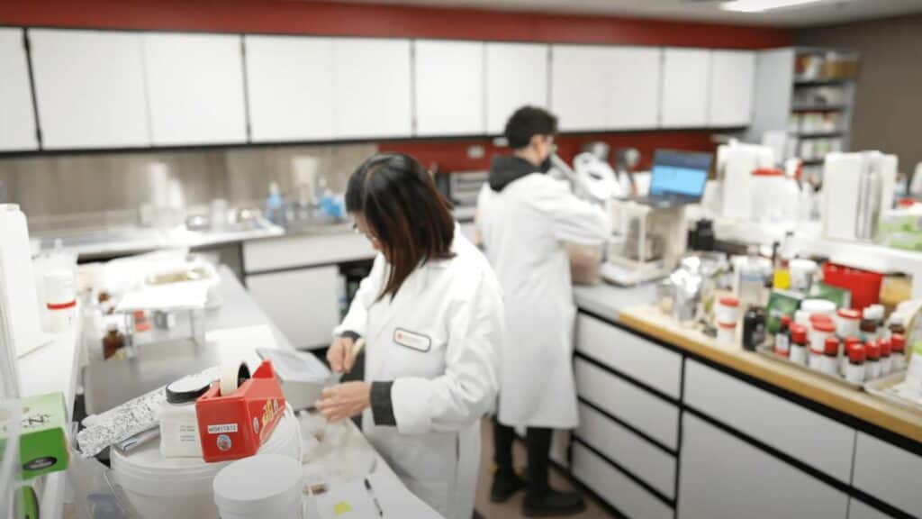edlong food scientists optimizing product base for tailored flavor solutions